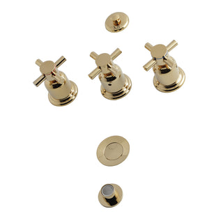 Concord Bidet Faucet in Polished Brass