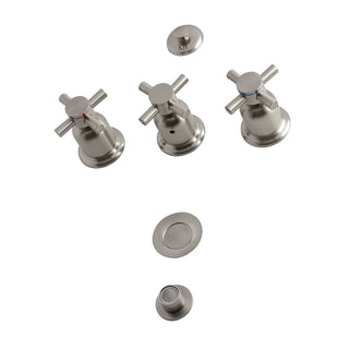 Concord Bidet Faucet in Brushed Nickel