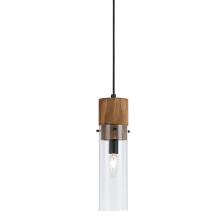 The Raphael Single Light Pendant