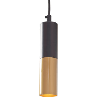 Modern Iron Pendant in Brass and Black Finish